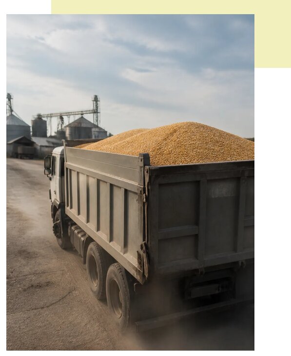 Перевозка сельхозпродукции навалом в Иркутск по цене от 3126 р. | Агросервис-Ркт